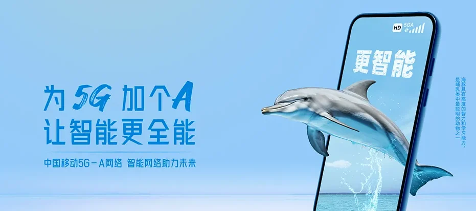 庐阳区庐阳区大杨镇 移动宽带